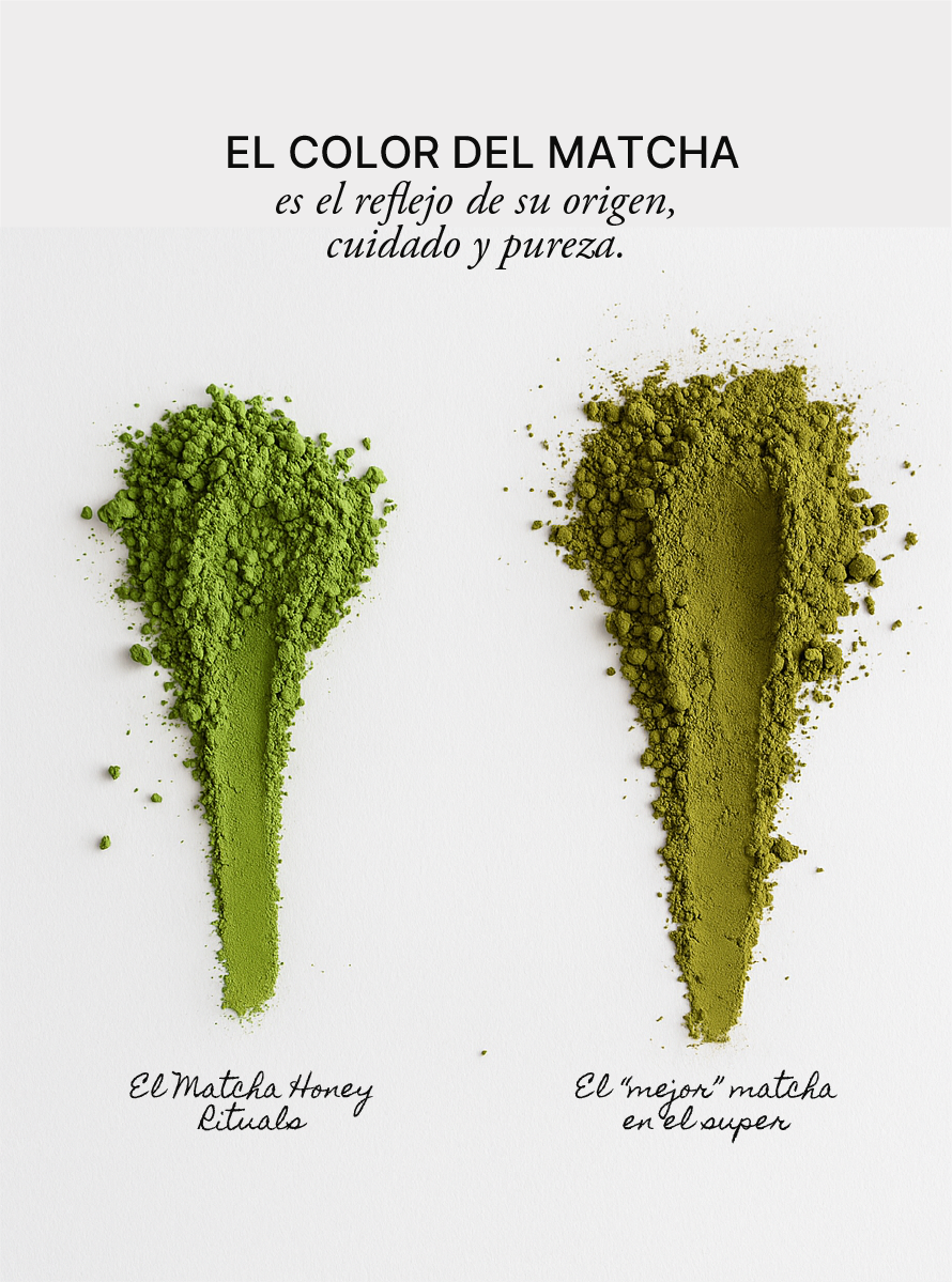 Matcha Grado Ritual 30 g